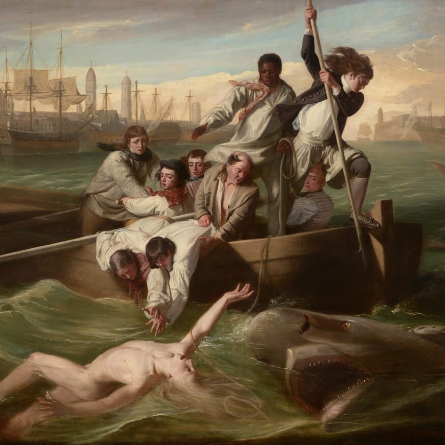 Watson and the Shark
