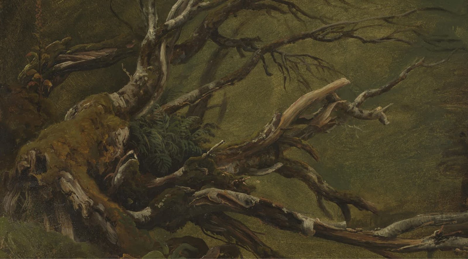 Decaying Nature